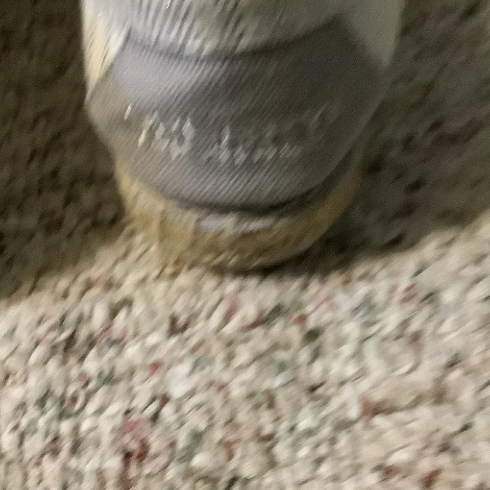 Sperry Women's Cream‎ Espadrille boat Shoes